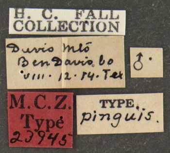 Media type: image;   Entomology 23945 Aspect: labels